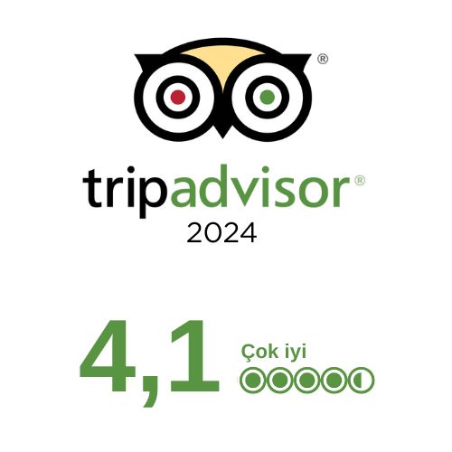 Tripadvisor 2020