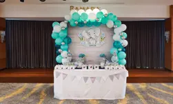 Welcome Baby Party